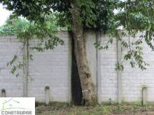 Tapial El Carmen Mountain Valley